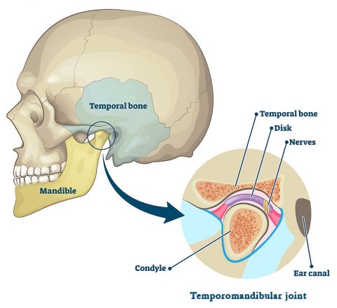 TMD (TMJ) Treatment | Dr. Brian Friedman